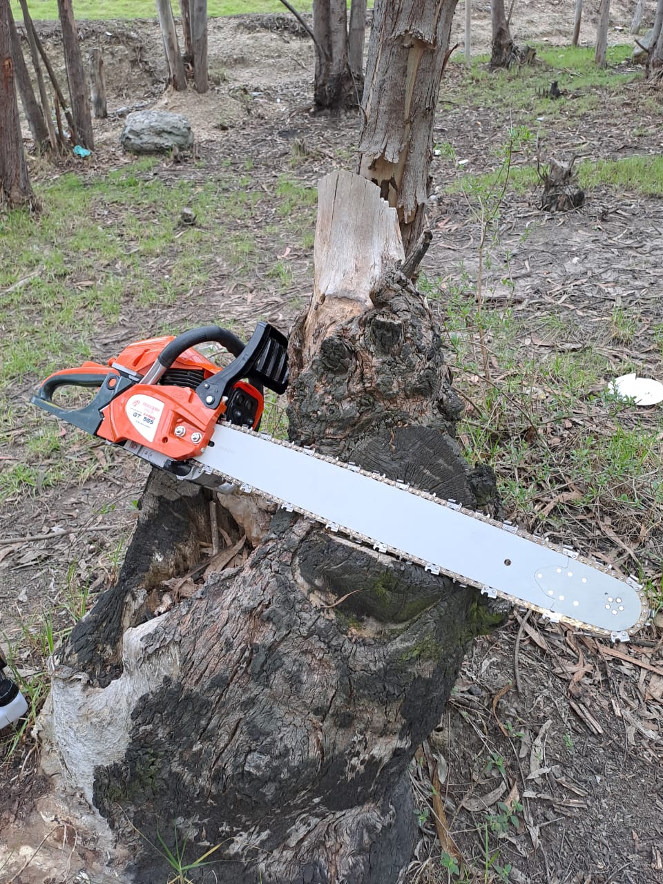 ¡Potencia y rendimiento excepcionales! Descubre la Motosierra gt555, el secreto para el éxito en tus tareas de jardinería y trabajos forestales