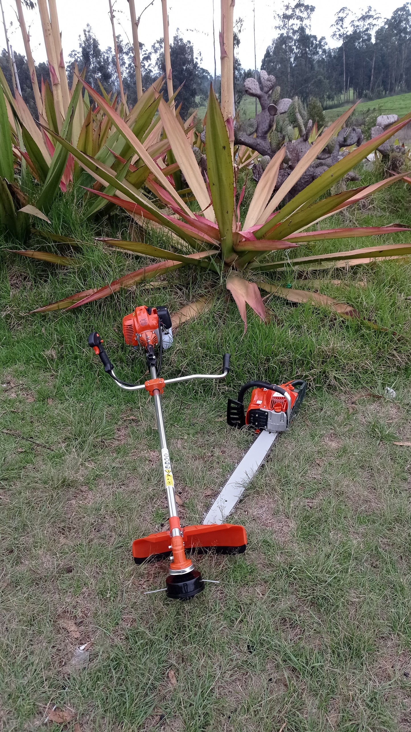 ¡Combo imbatible para tus tareas de jardinería! Guadaña y Motosierra: Potencia y rendimiento excepcionales en una sola compra